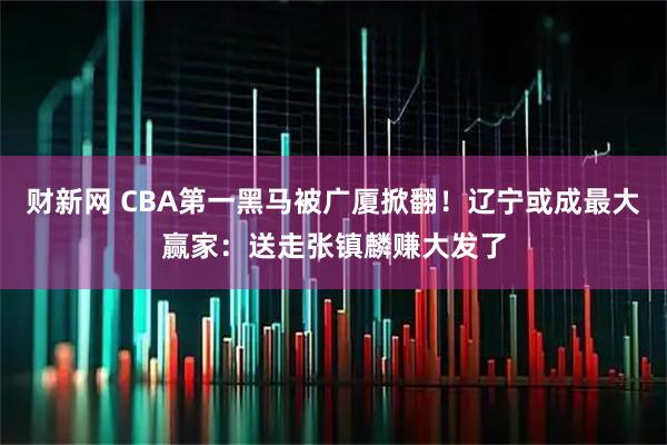 财新网 CBA第一黑马被广厦掀翻!辽宁或成最大赢家:送走张镇麟赚大发了