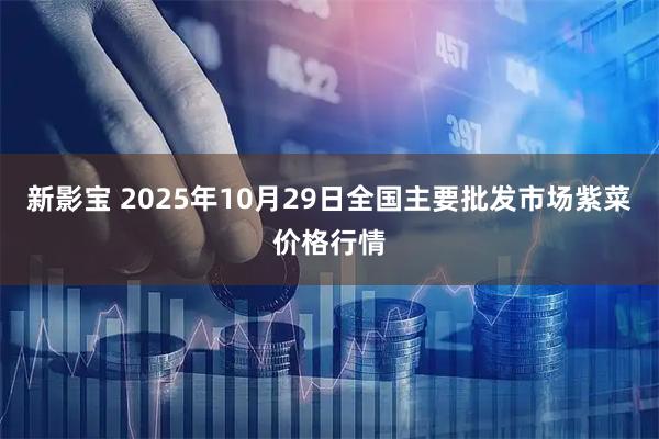 新影宝 2025年10月29日全国主要批发市场紫菜价格行情