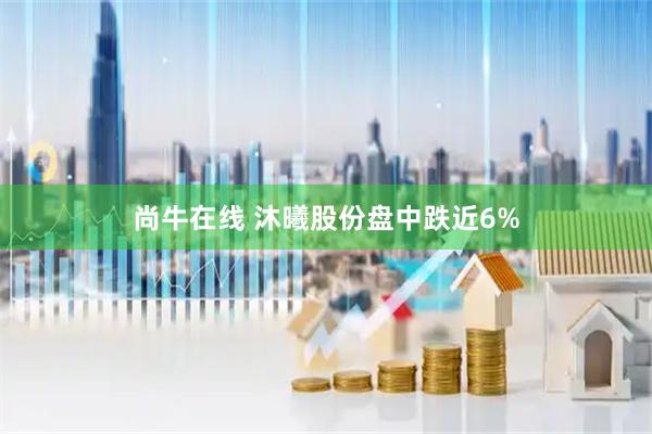 尚牛在线 沐曦股份盘中跌近6%