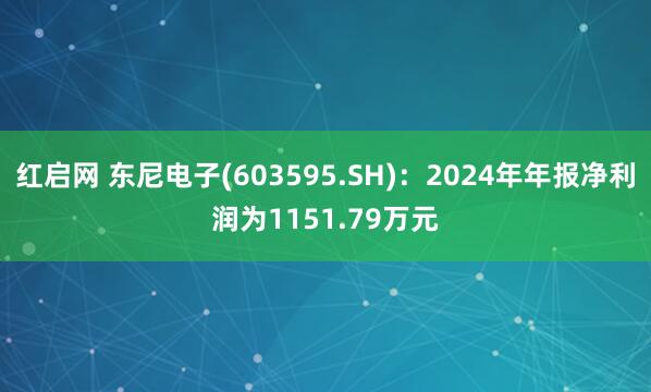 红启网 东尼电子(603595.SH)：2024年年报净利润为1151.79万元