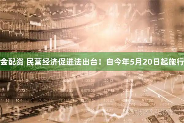 金配资 民营经济促进法出台！自今年5月20日起施行