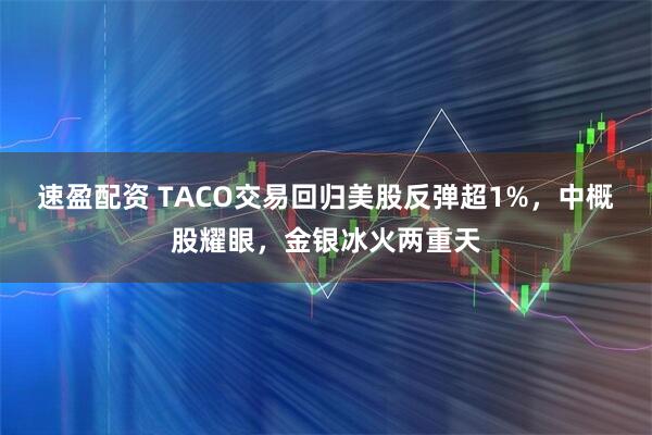 速盈配资 TACO交易回归美股反弹超1%,中概股耀眼,金银冰火两重天